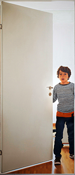 The door (V1)
